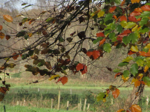 IMG_0295 IMG_0295